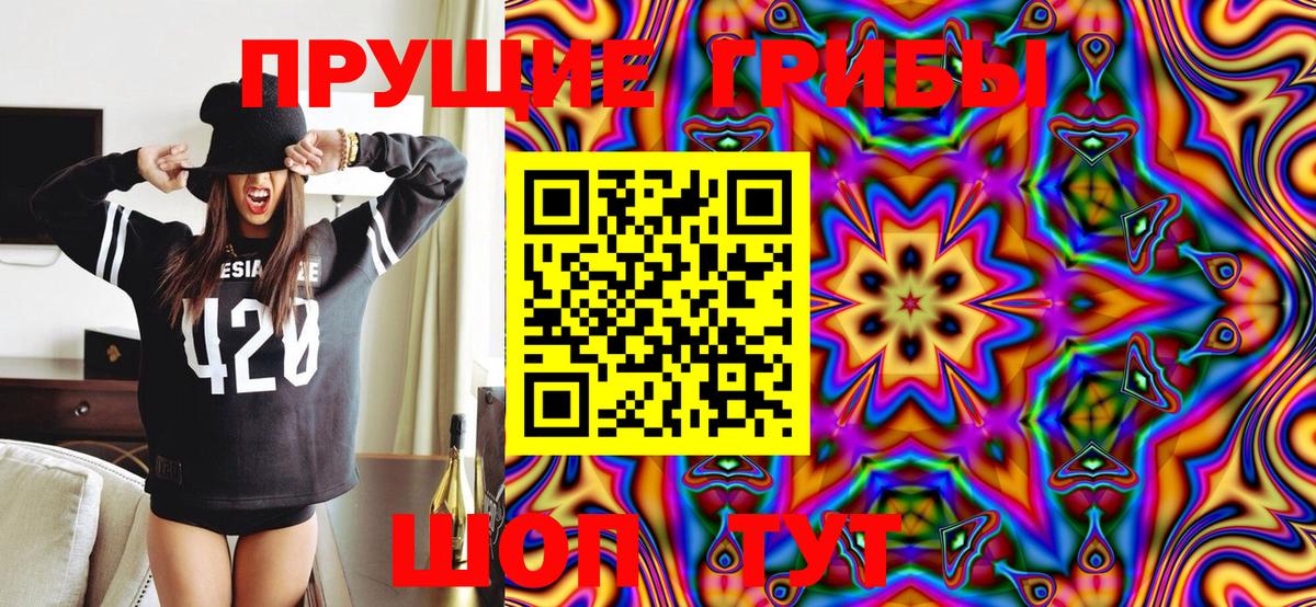 Псилоцибиновые грибы Psilocybe Реутов
