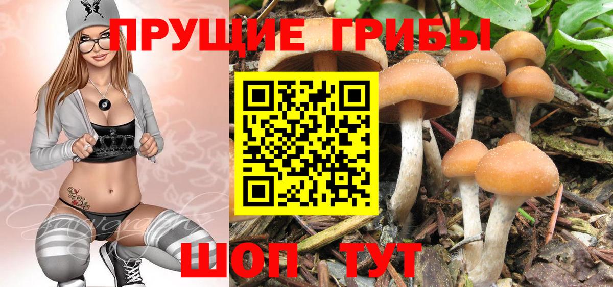 купить закладку  Псилоцибиновые грибы мухоморы  Вход с VPN  Реутов 