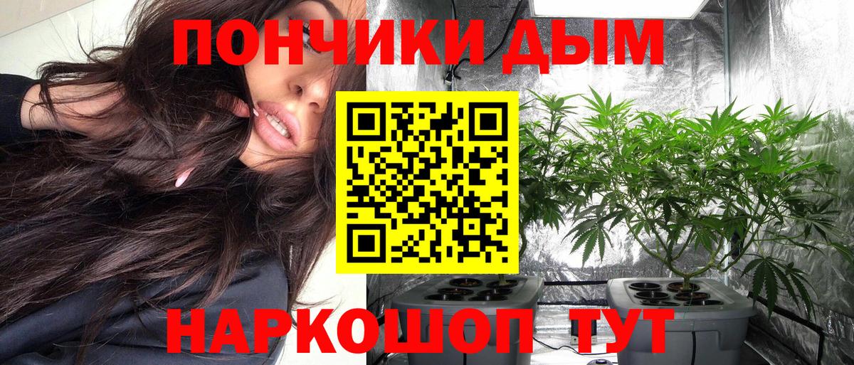 Конопля план Реутов